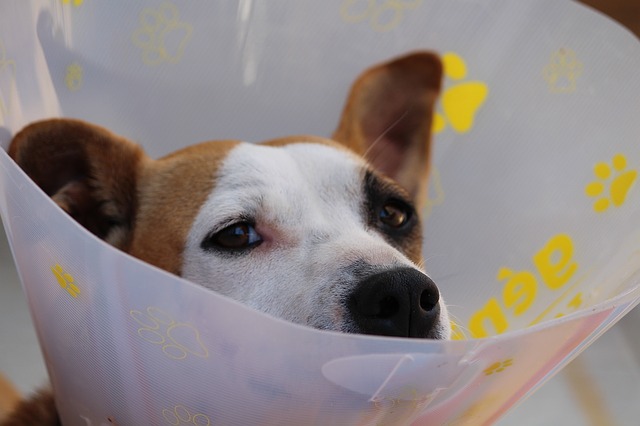 Do You Need Help With A Personal Injury Case?